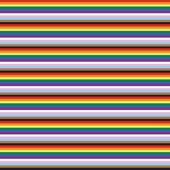 Pride Flag All Inclusive Acrylic Sheets - CMB Pattern Acrylic