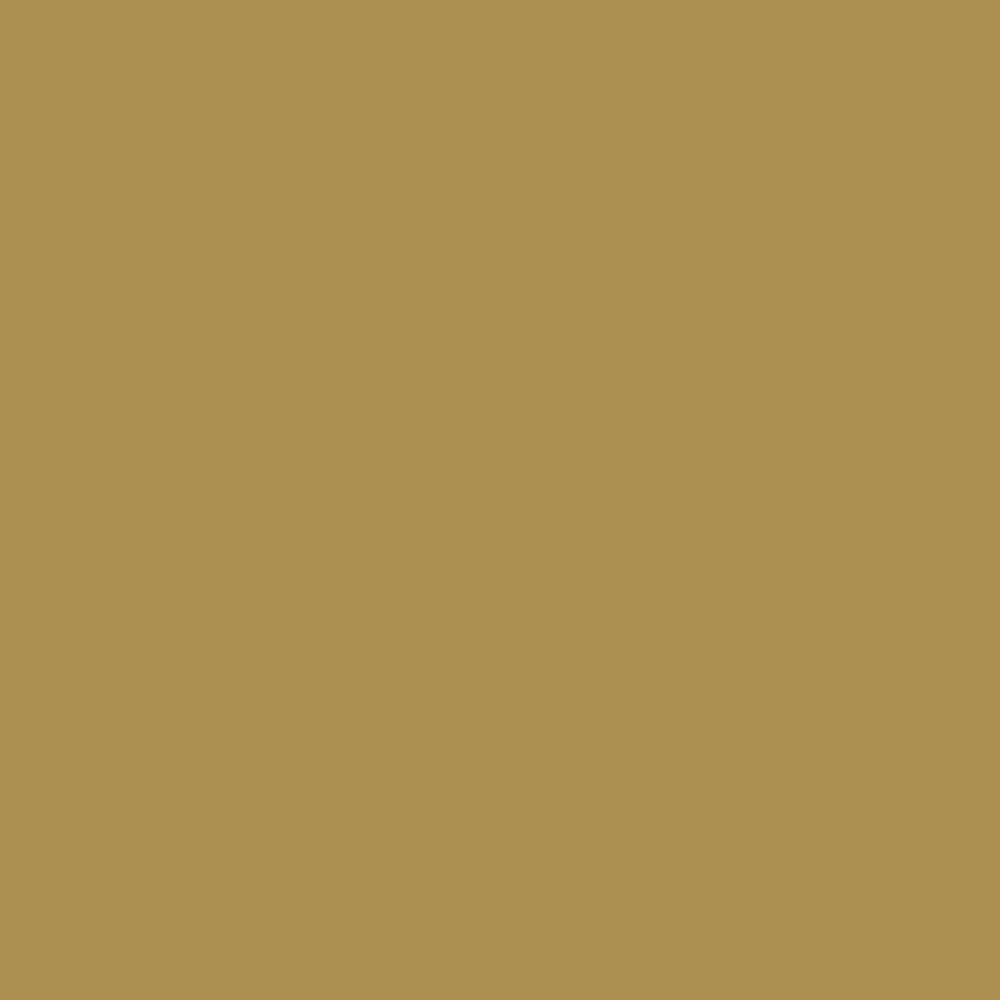 1/8" Matte Military Tan Acrylic Sheets (Double Sided Matte) - Acrylic Sheets